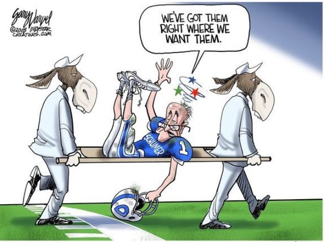 schumer stretcher democrat