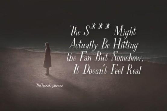 The-S-Might-Actually-Be-Hitting-the-Fan-But-It-Doesnt-Feel-Real