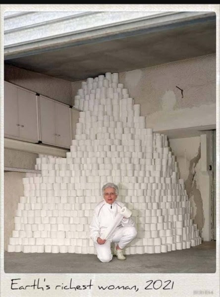 toilet paper 2