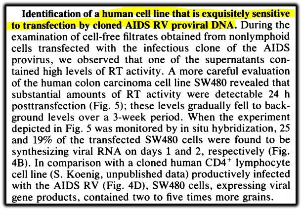 transfection