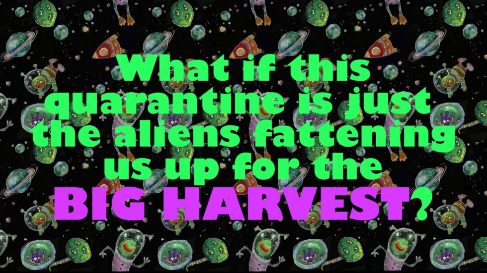 big harvest