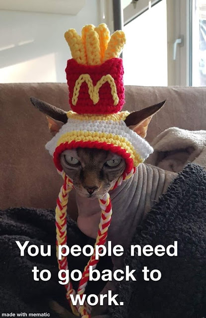 cat mcdonalds