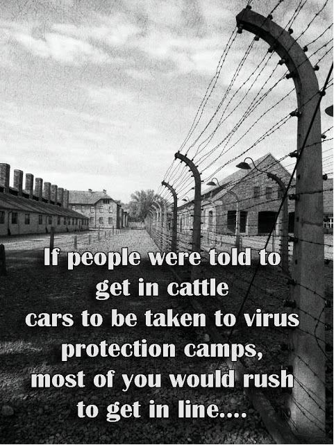 cattle cars