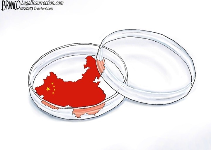 china petri dish