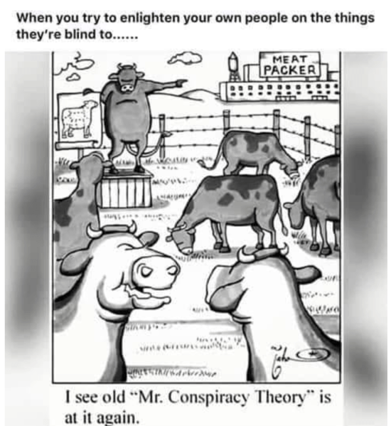 conspiracy theorist