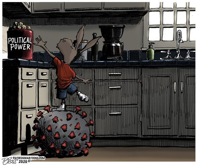 democrat coronavirus power grab
