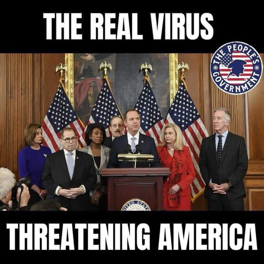 democrat virus