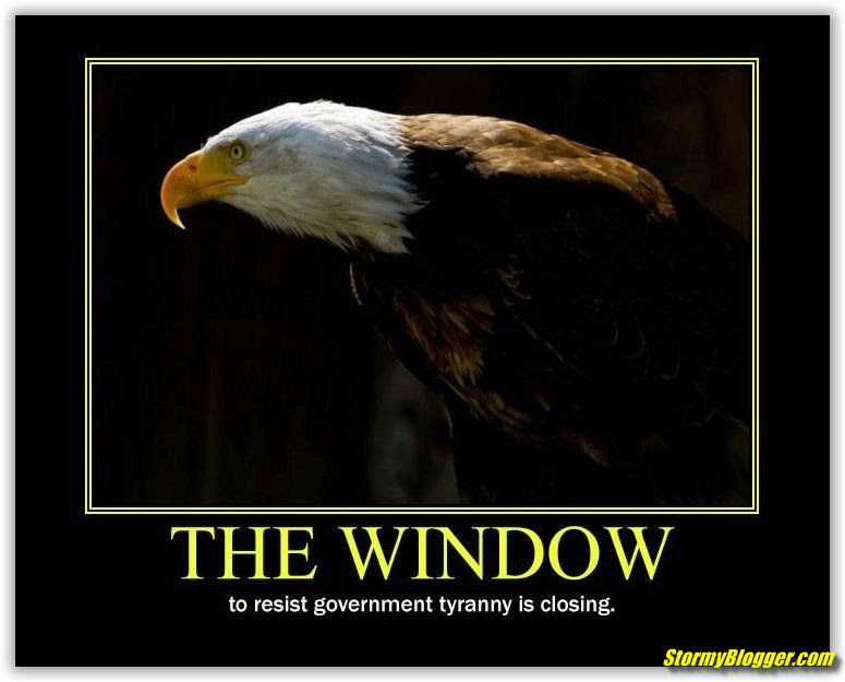 eagle window