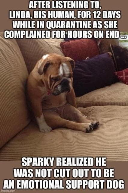 emotional support dog