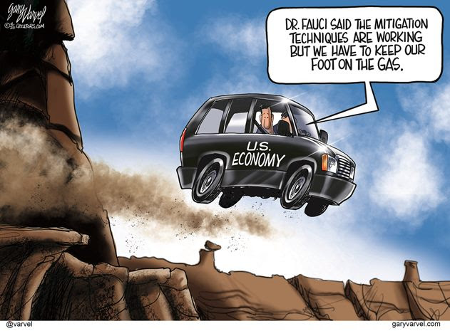 fauci economy