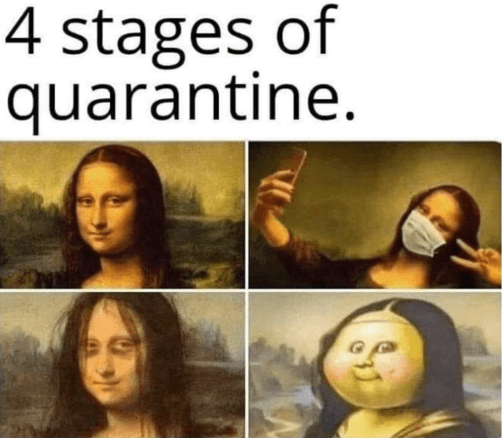 four stages of quarantine
