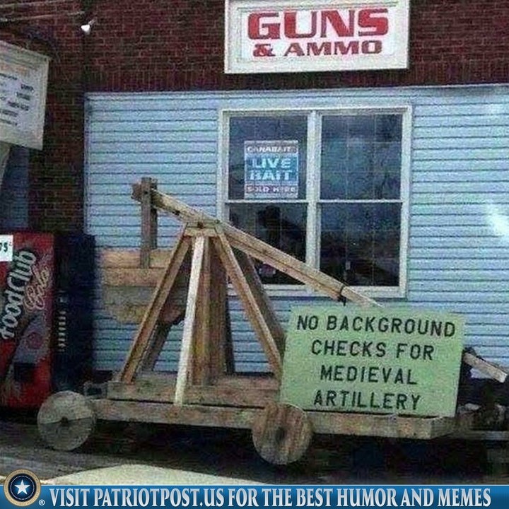 gun control