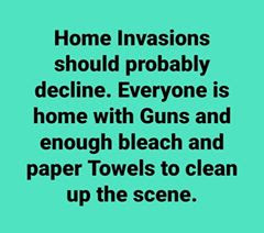 guns bleach toilet paper