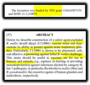 melioidosis 2