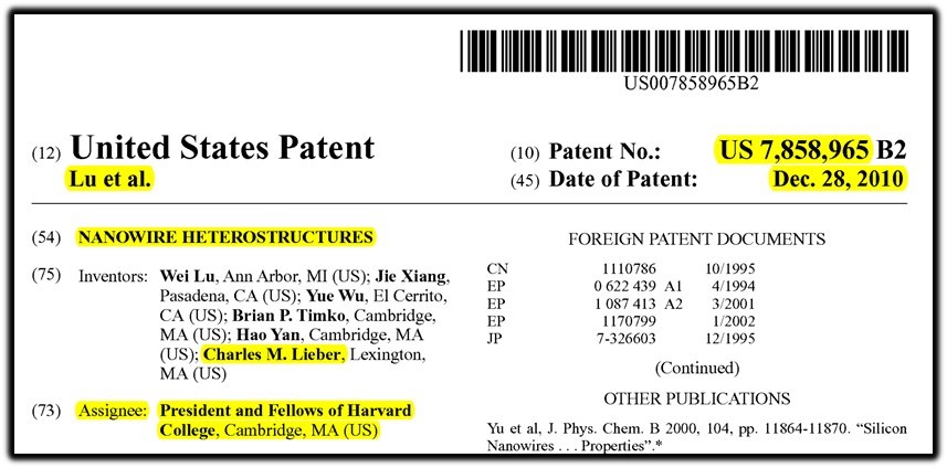 nanowire patent