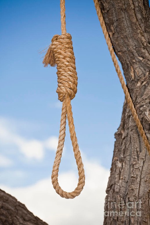 noose