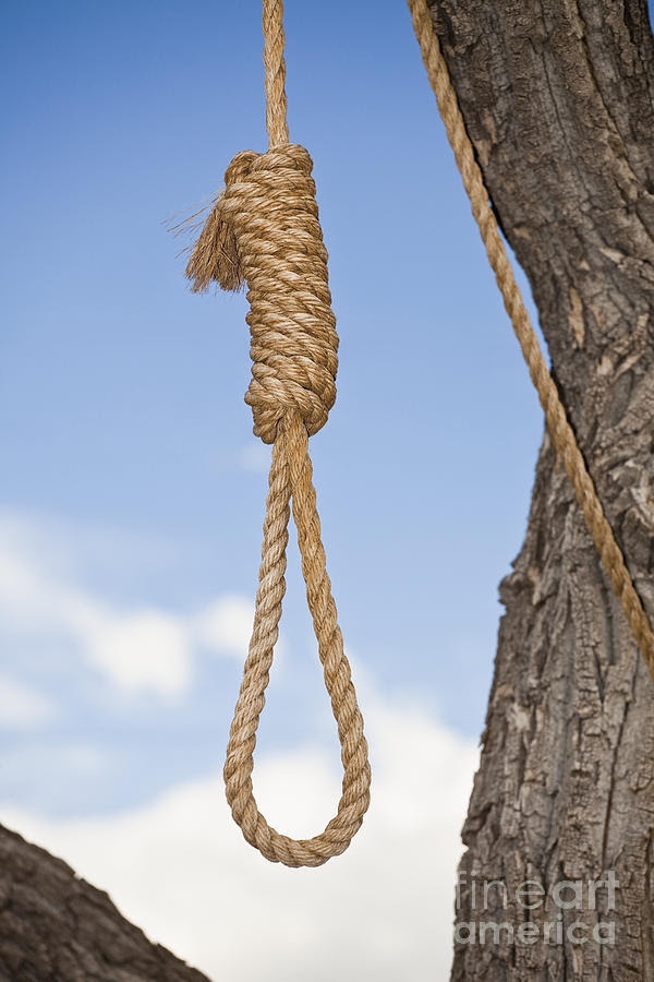 noose