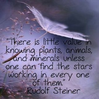 rudolf steiner stars plants
