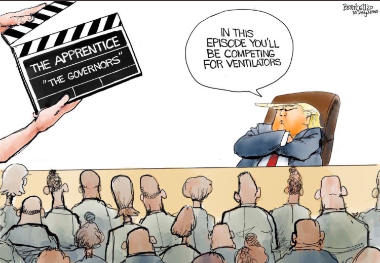 trump apprentice