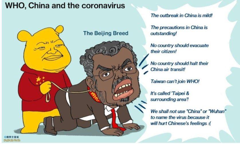 who china coronavirus
