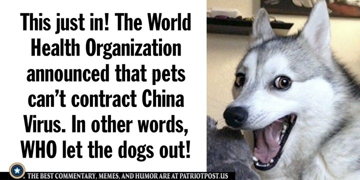 who let the dogs out
