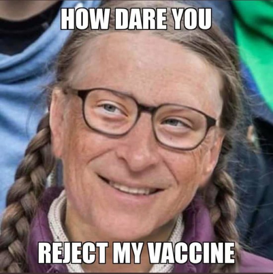 bill gates greta