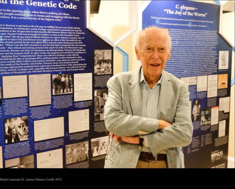 brenner genetic