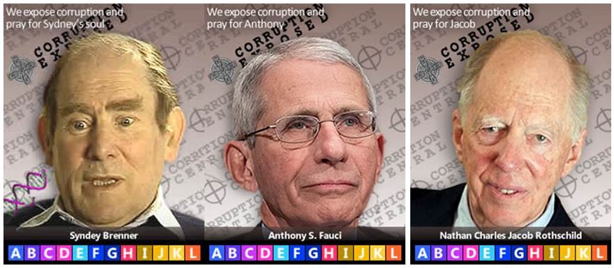 brenner rothschild fauci
