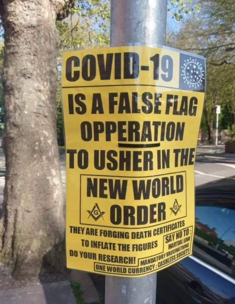corona new world order