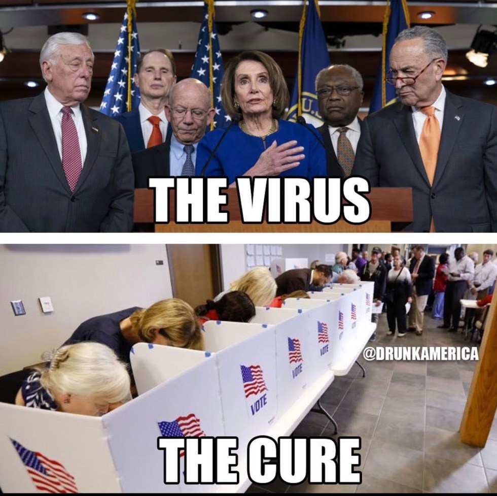 corona virus cure pelosi schumer