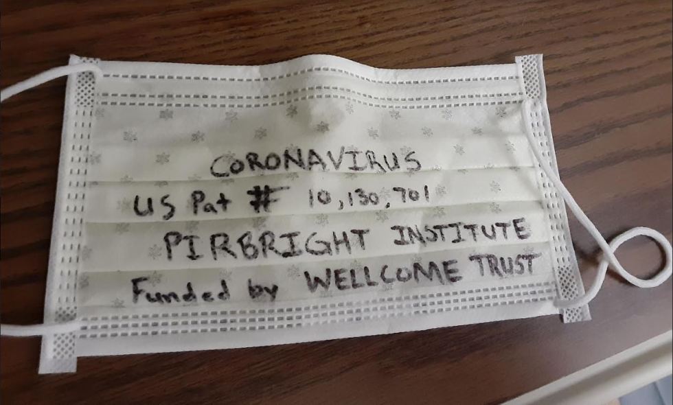 coronavirus pirbright face mask