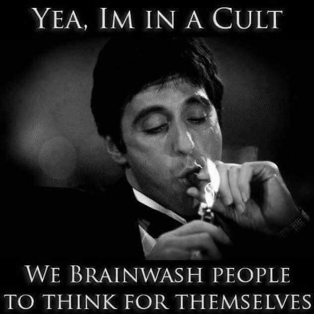 cult for thinkers