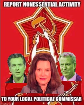 deblasio whitmer newsom