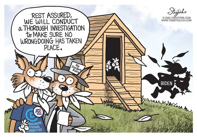democrat investigation