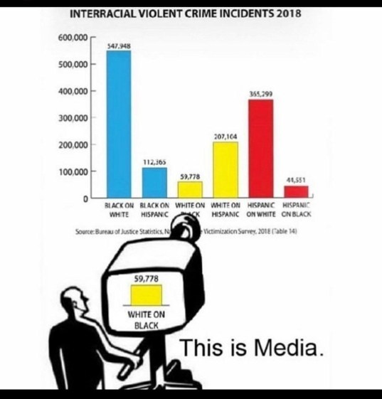 fake news race