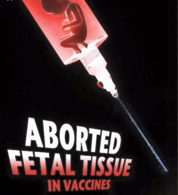 fetal tissue vaccines