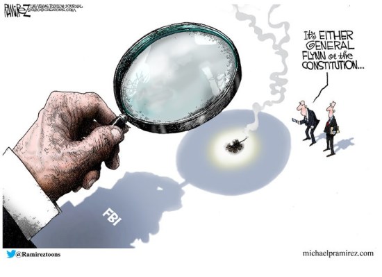 flynn constitution