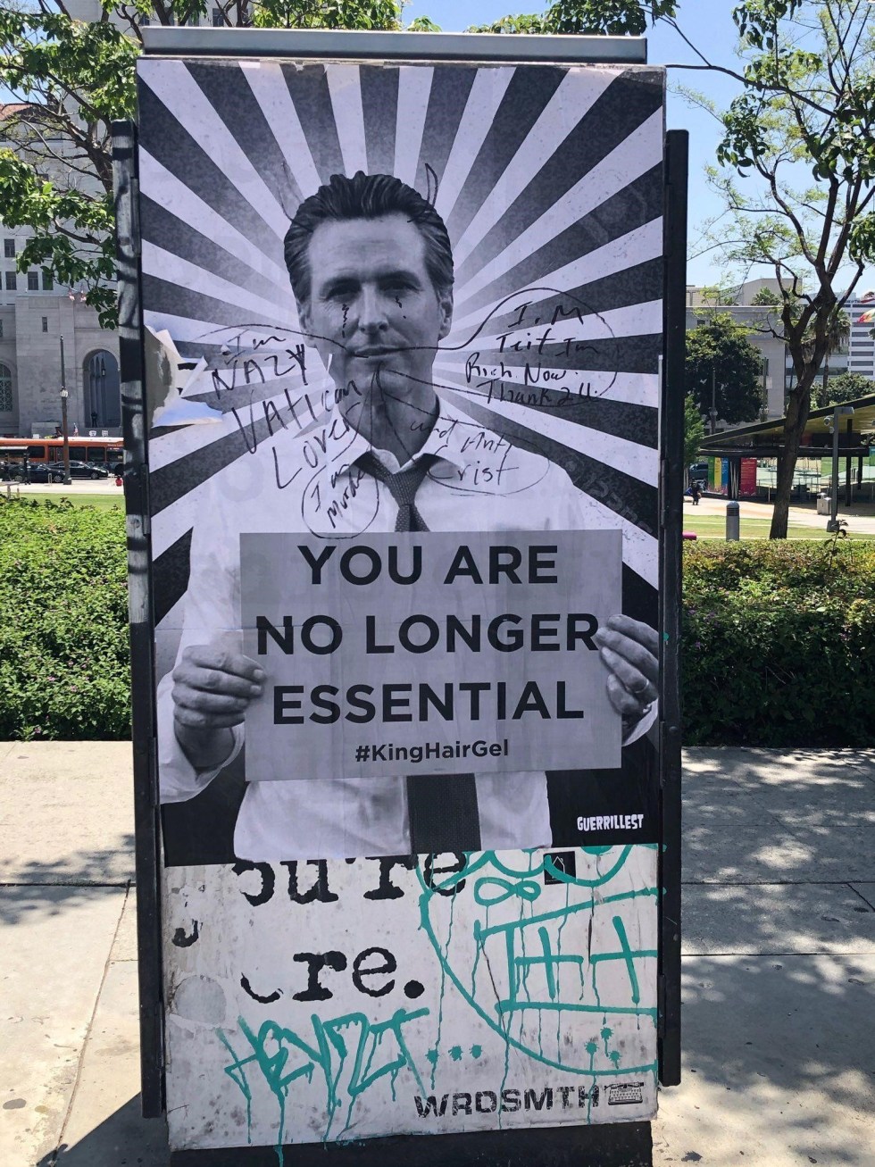 gavin newsom