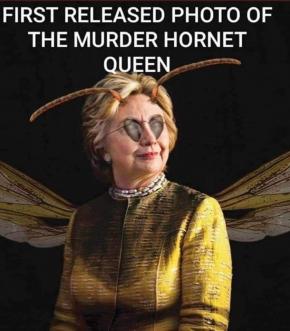 hillary clinton murder hornet