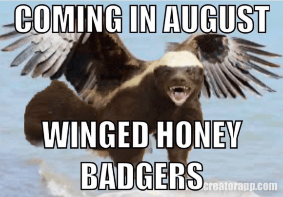 honey badger