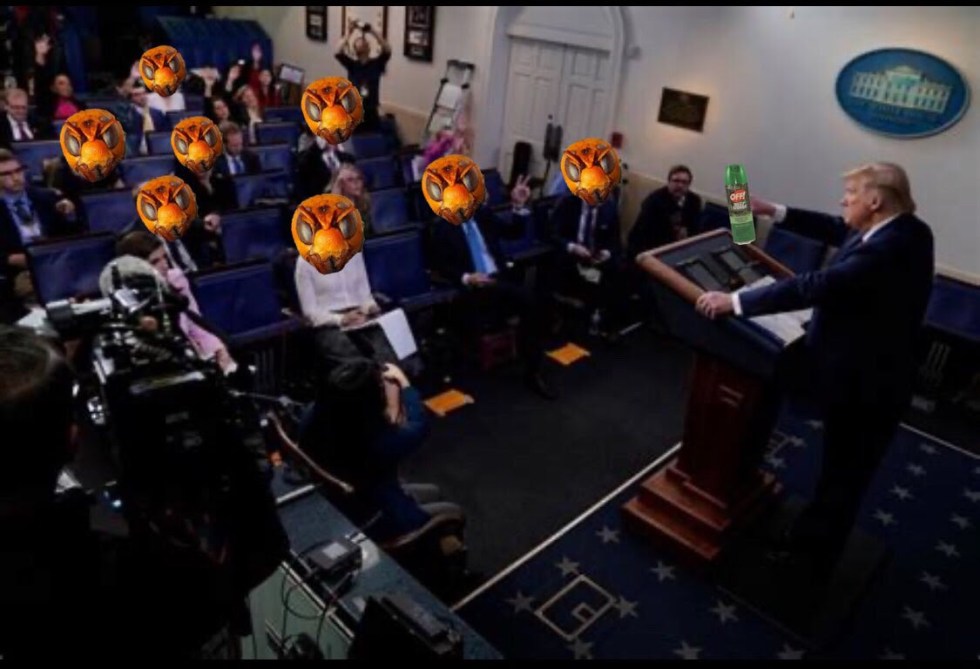 hornet heads