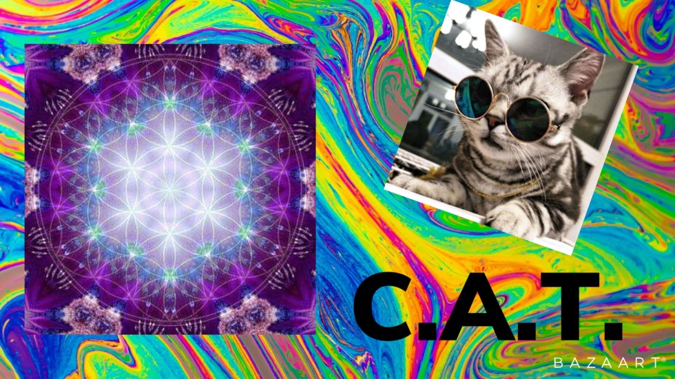 far out cat