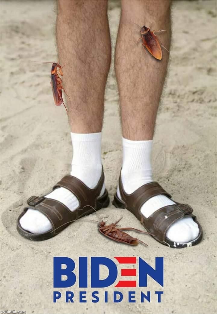 joe biden hairy legs roaches