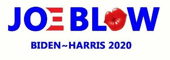joe biden kamala harris