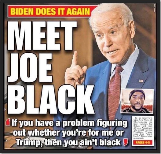 meet joe biden black v2