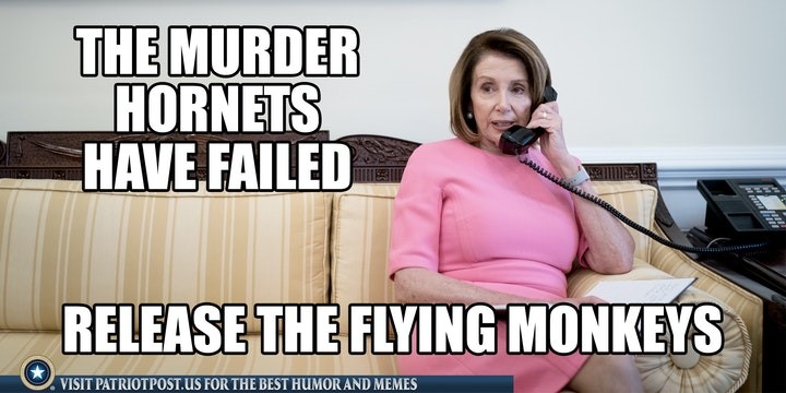 murder hornets pelosi