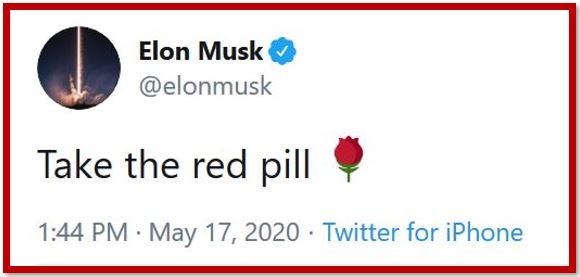 musk red pill