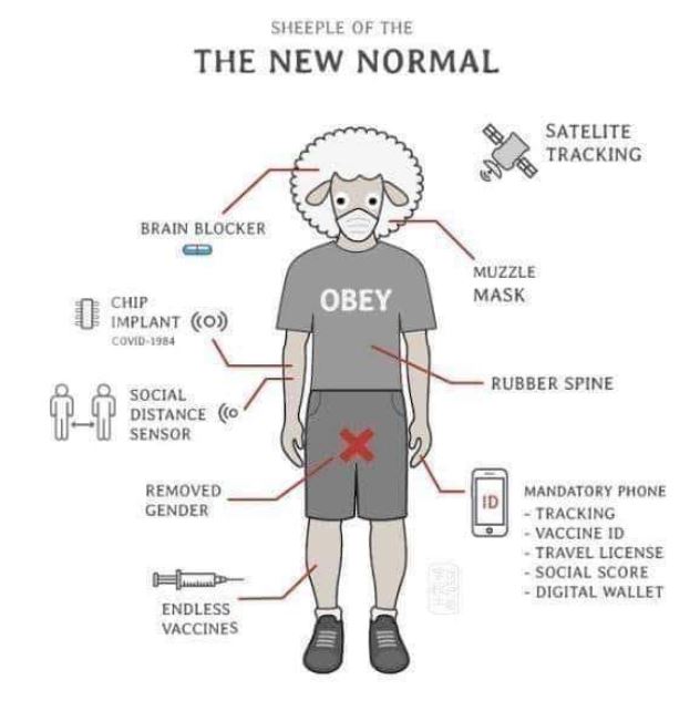 new normal corona