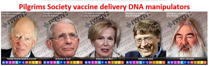 pilgrims society vaccine
