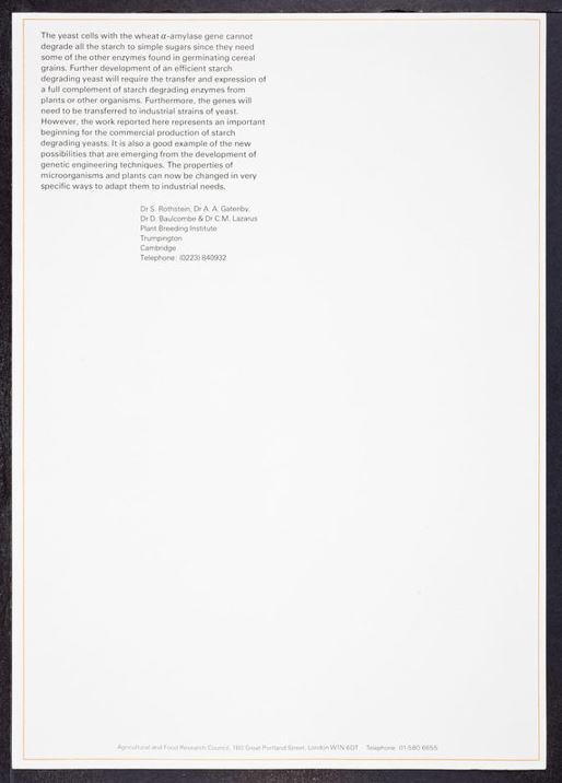rothschild letter 21